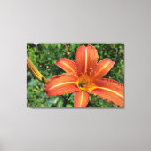 Lilie Leinwanddruck (Vorderseite)