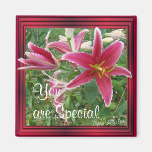 Lilie Magnet-fertigen es besonders an Magnet