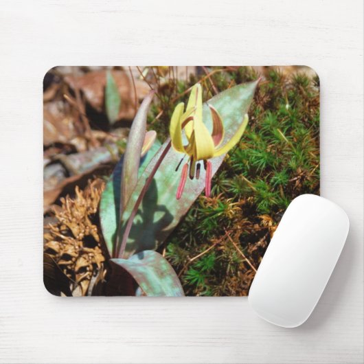 Lilie Mousepad (Mit Mouse)