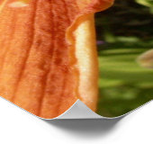 Lilie Poster (Ecke)