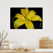 Lilie Poster (Küche)