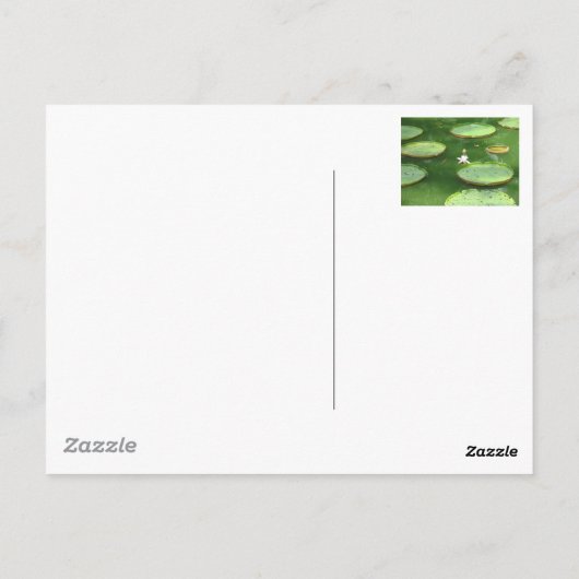 Lilie Postkarte (Rückseite)