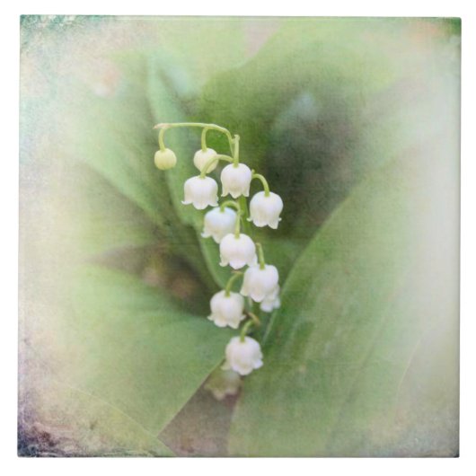 Lilie The Tal Keramik Tile Fliese (Vorderseite)