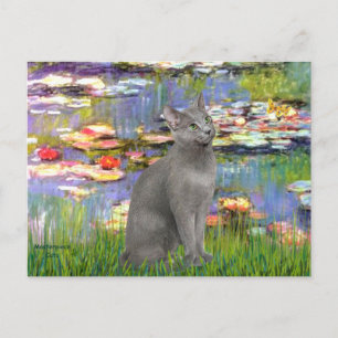 Lilien 2 - Katze Russian Blue Postkarte