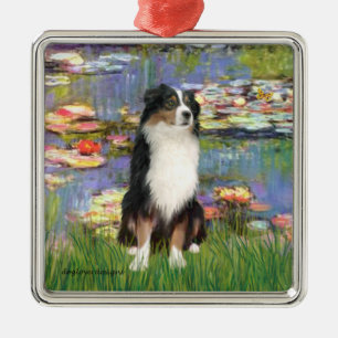 Lilien 2 - Tri Australian Shepherd Silbernes Ornament