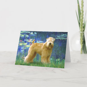 Lilien 5 - Wheaten Terrier (stehend) Karte