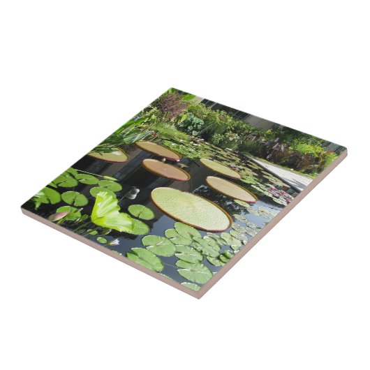 Lilien-Auflagen an Longwood Gärten Fliese (Seite)