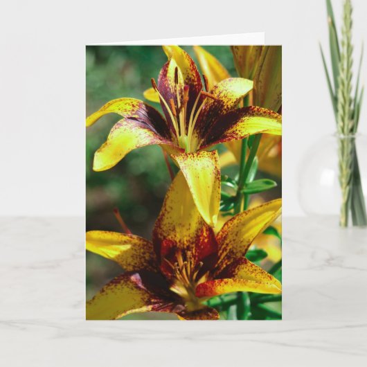 Lilien der Felder Karte (Vorderseite)