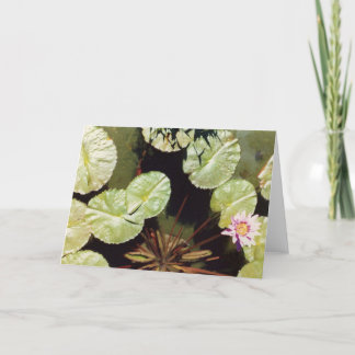 Lilien des Wassers 02 Karte