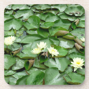 Lilien Getränkeuntersetzer