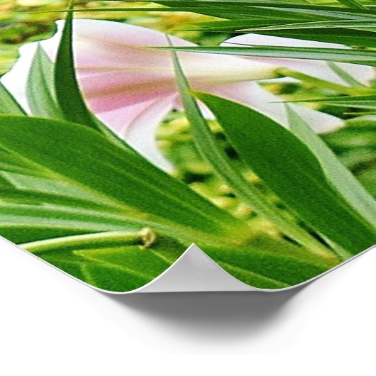 Lilien im Feldposter Poster (Ecke)