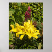 Lilien im Garten. Poster (Vorne)