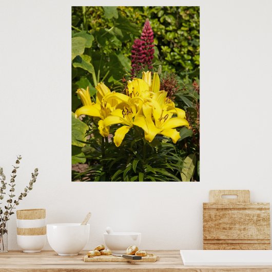 Lilien im Garten. Poster (Küche)