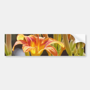 Lilien in der Sonne Autoaufkleber