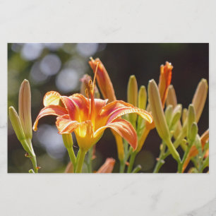 Lilien in der Sonne Briefpapier