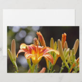 Lilien in der Sonne Briefpapier (Vorne/Hinten)