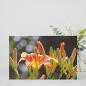 Lilien in der Sonne Briefpapier (Stehend Vorderseite)