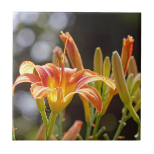 Lilien in der Sonne Fliese