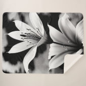 Lilien in Schwarz und Weiß auf einem Sherpa-Blanke Sherpadecke (Vorderseite (Horizontal))