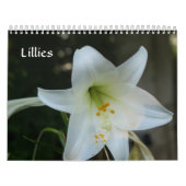 Lilien Kalender (Titelbild)