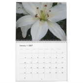 Lilien - Kalender 2017 (Jan 2027)