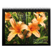 Lilien-Kalender des Tag2009 Kalender (Titelbild)