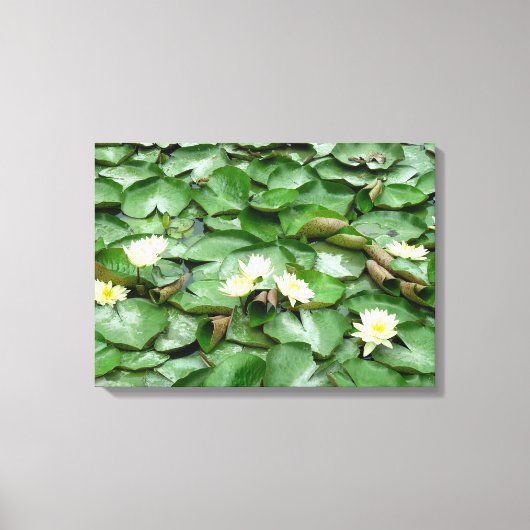 Lilien Leinwanddruck (Vorderseite)