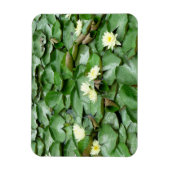 Lilien Magnet (Vertikal)