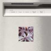 Lilien Magnet (In Situ (Geschirrspüler))