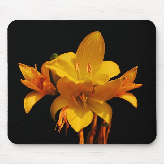 Lilien Mousepad (Vorne)