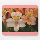Lilien Mousepad (Vorne)