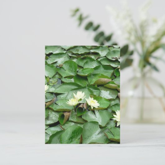 Lilien Postkarte (Stehend Vorderseite)