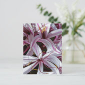Lilien Postkarte (Stehend Vorderseite)