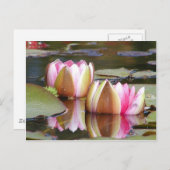 Lilien Postkarte (Vorne/Hinten)