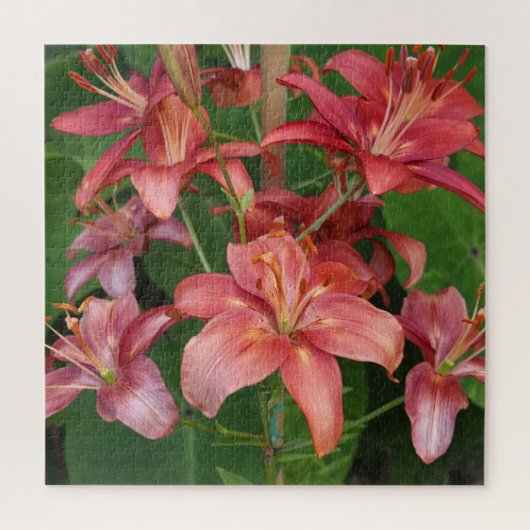 Lilien Puzzle (Vertikal)