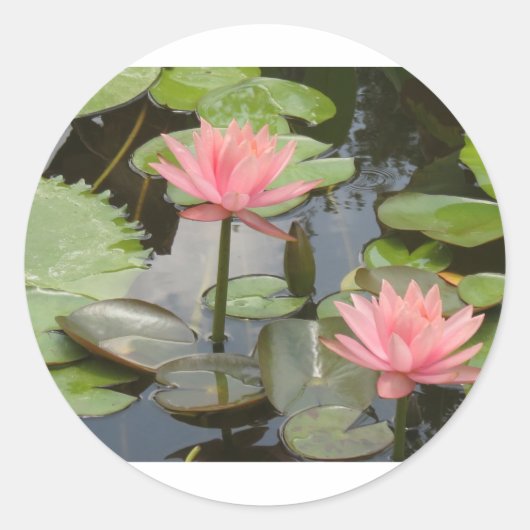 Lilien Runder Aufkleber (Vorderseite)