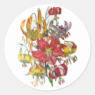 Lilien Runder Aufkleber