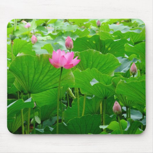 Lilien-stehendes hohes mousepad (Vorne)