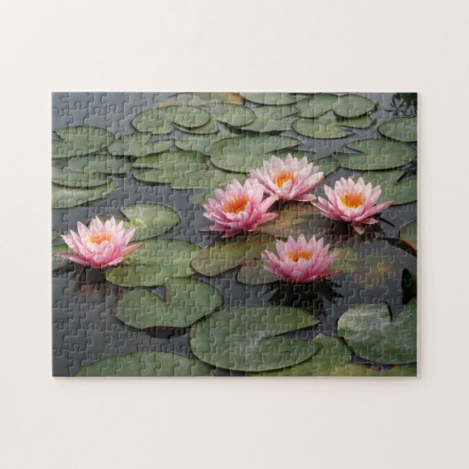 Lilien Teich Puzzle (Horizontal)