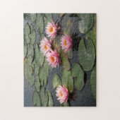 Lilien Teich Puzzle (Vertikal)