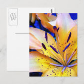 LilienArt Postkarte (Vorne/Hinten)