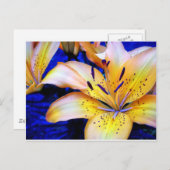 LilienArt Postkarte (Vorne/Hinten)