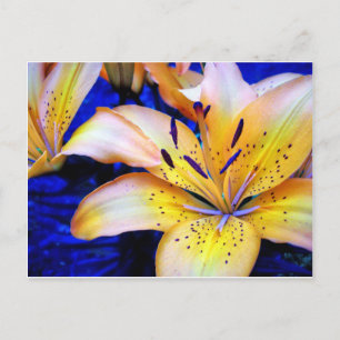 LilienArt Postkarte