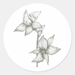 Lilienaufkleber Runder Aufkleber