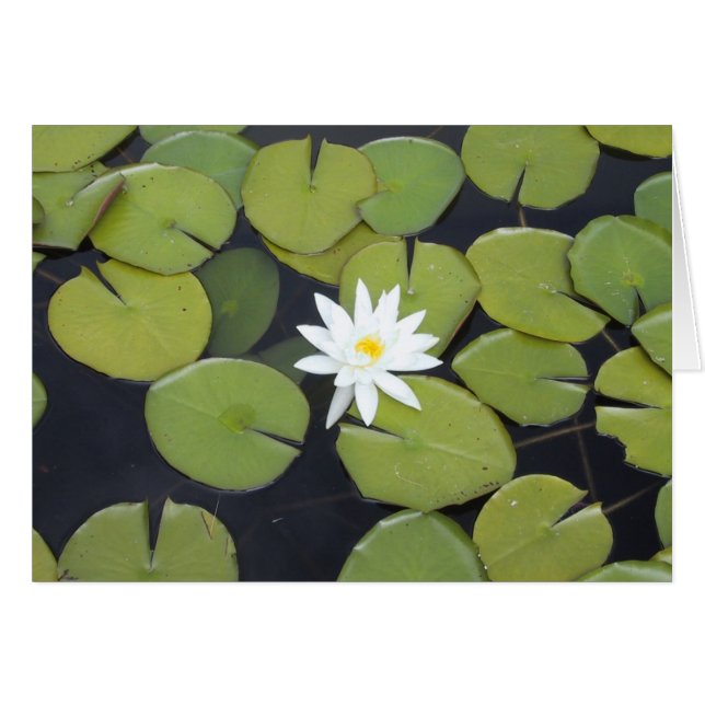 Lilienauflage (Vorderseite (Horizontal))