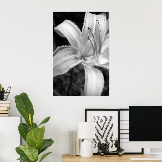 Lilienbauch Poster (Heimbüro)