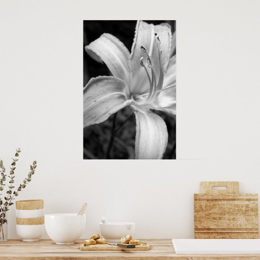 Lilienbauch Poster (Küche)
