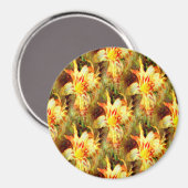 Lilienfeld...... Magnet (Vorderseite/Rückseite)