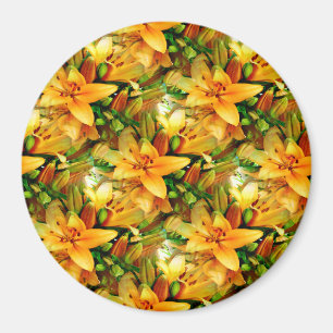 Lilienfeld...... Magnet