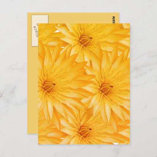 Liliengelbe Klasse Postkarte (Vorne/Hinten)